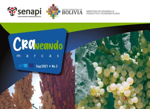 Revista craneando marcas