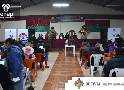 PRENSA 20210331 01 SENAPI BRINDA SEMINARIO DENOMINADO “PROTEGE TU CREACIÓN” A LA FEJUVE LA PAZ